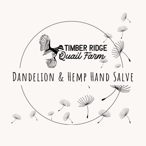 Dandelion &amp; Hemp Hand Salve