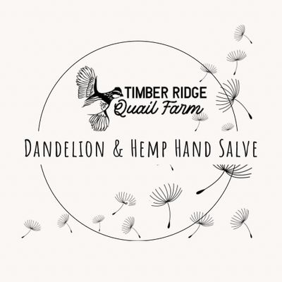 Dandelion &amp; Hemp Hand Salve