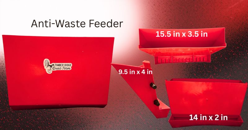 Anti-Waste Feeder
