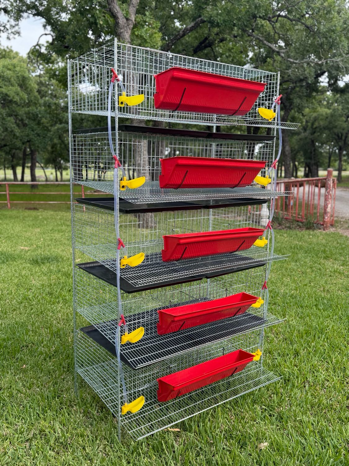5-Tier Quail Cage