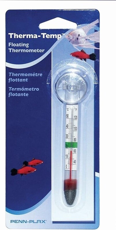 Floating Thermometer