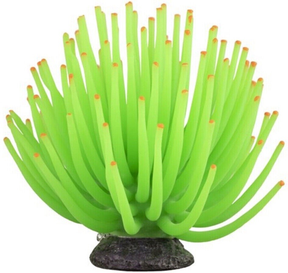 LED sea Anemone with remote