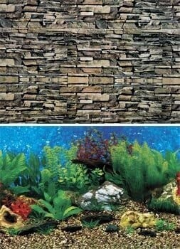 shale wall/hawaii blue 2 sided background