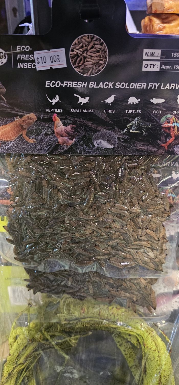 Repashy Eco Fresh Black Soldier Fly Larvae 150g
