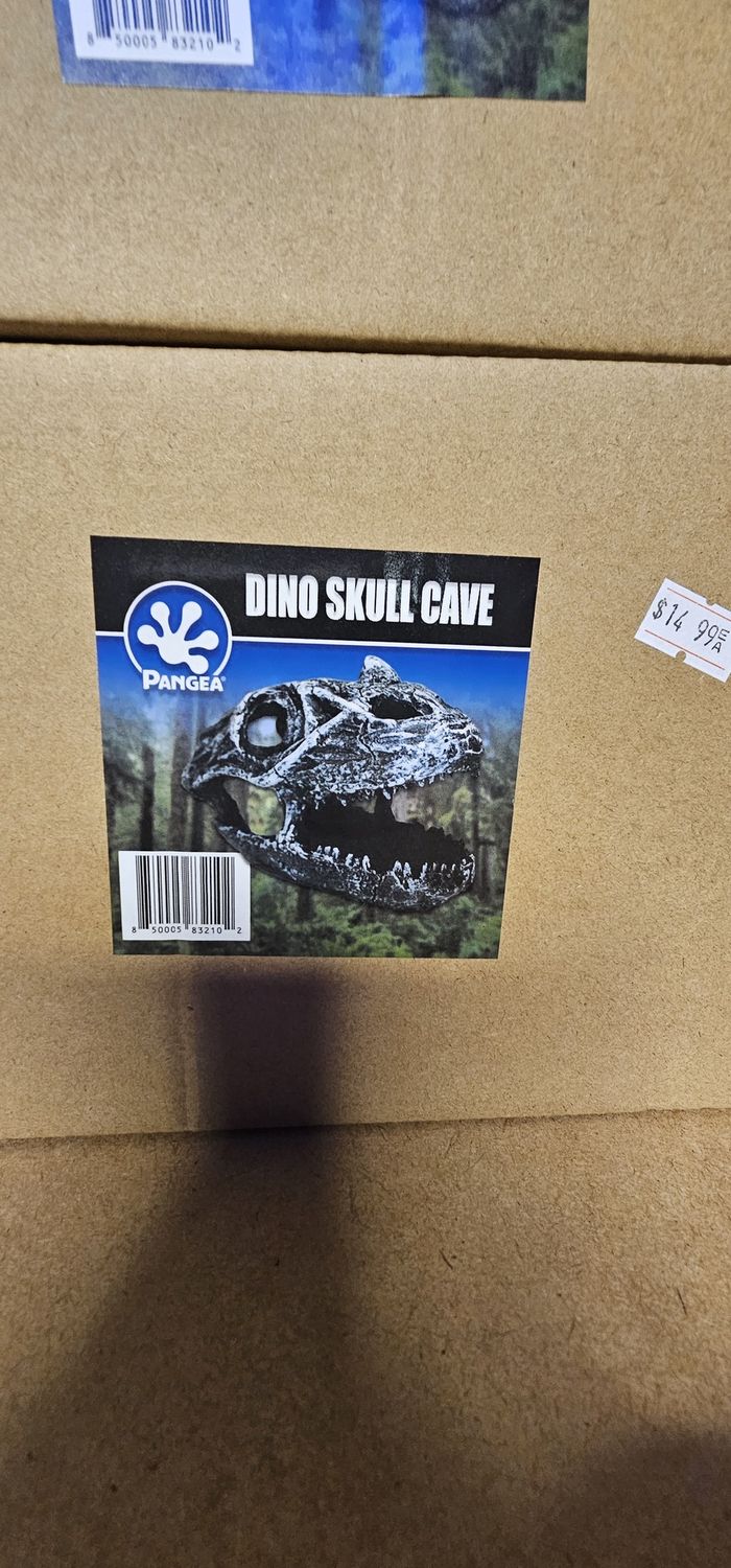 Dino Skull Cave