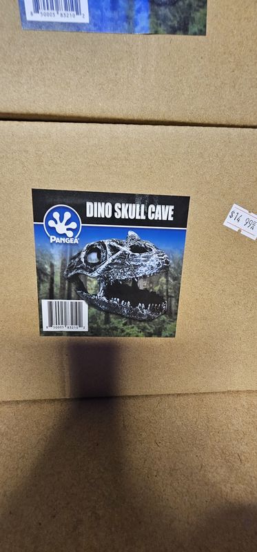 Dino Skull Cave