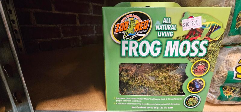 Zoomed All Natural Frog Moss Large