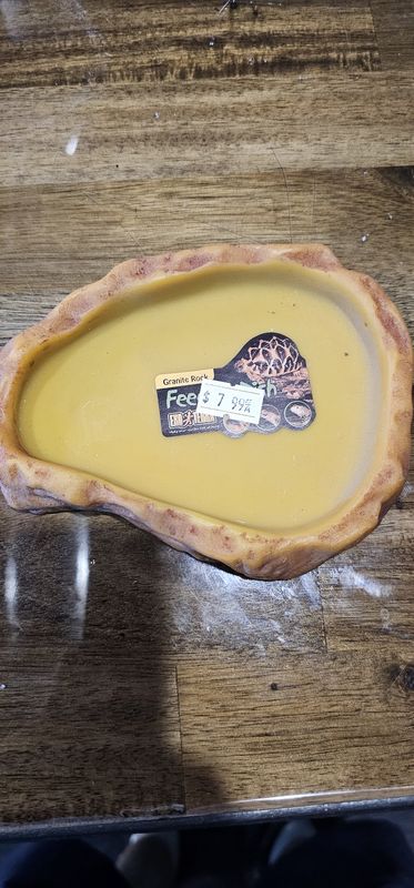 Exoterra Feeding Dish- Medium