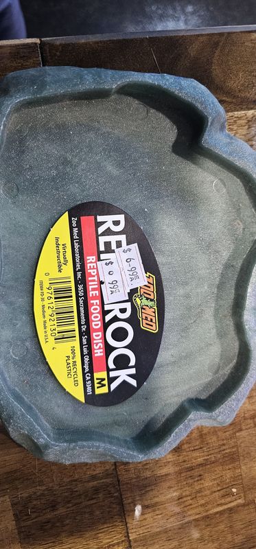Zoomed Medium Reptidish