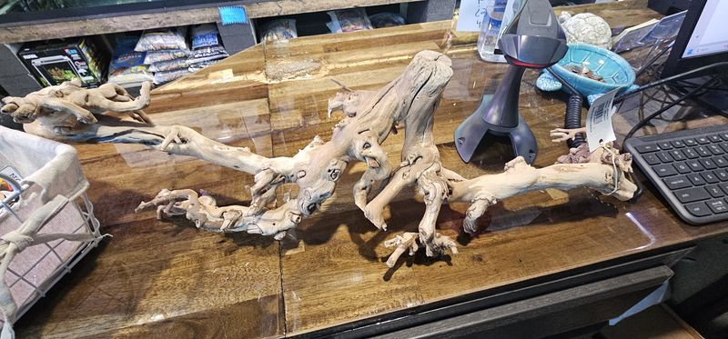 ExoTerra Large Reptile Branch