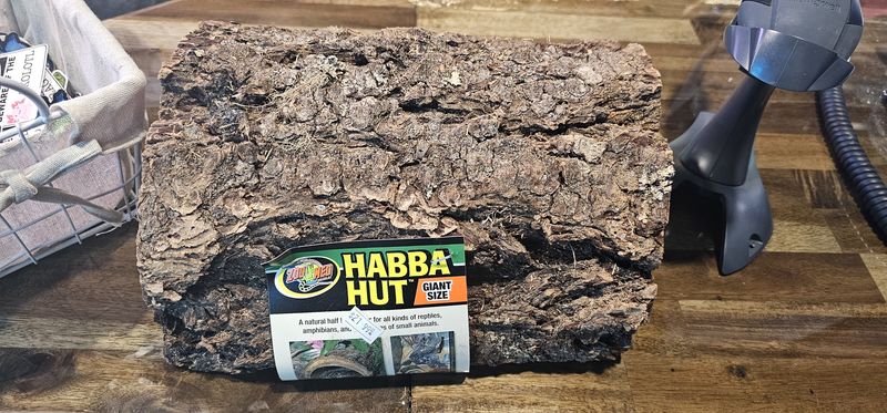 Zoomed Habba hut GIANT