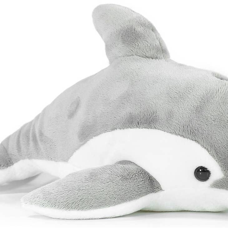 Dorian the Dolphin
