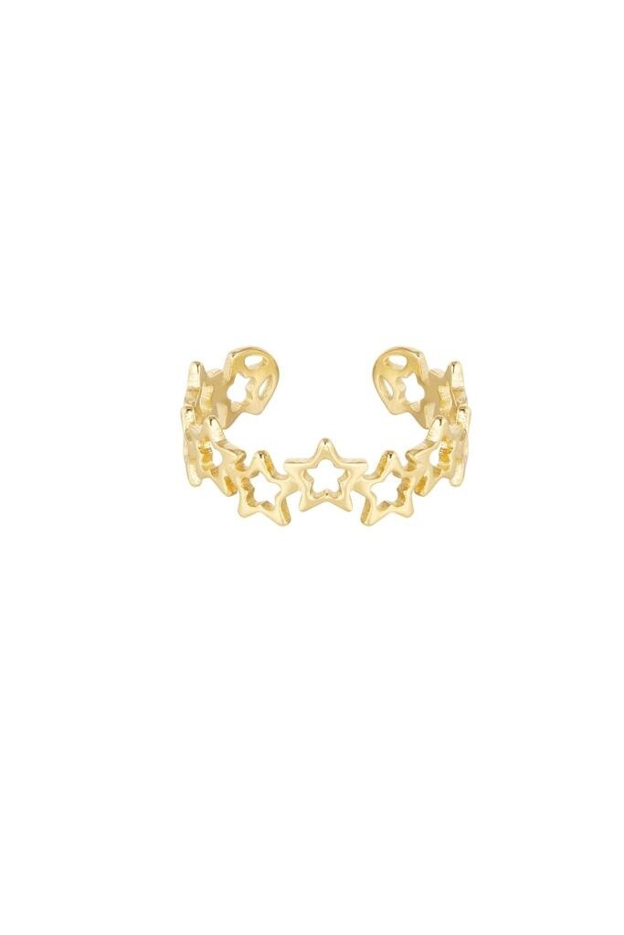 Ring sterretjes stainless steel