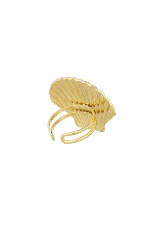 Ring Schelp statement
