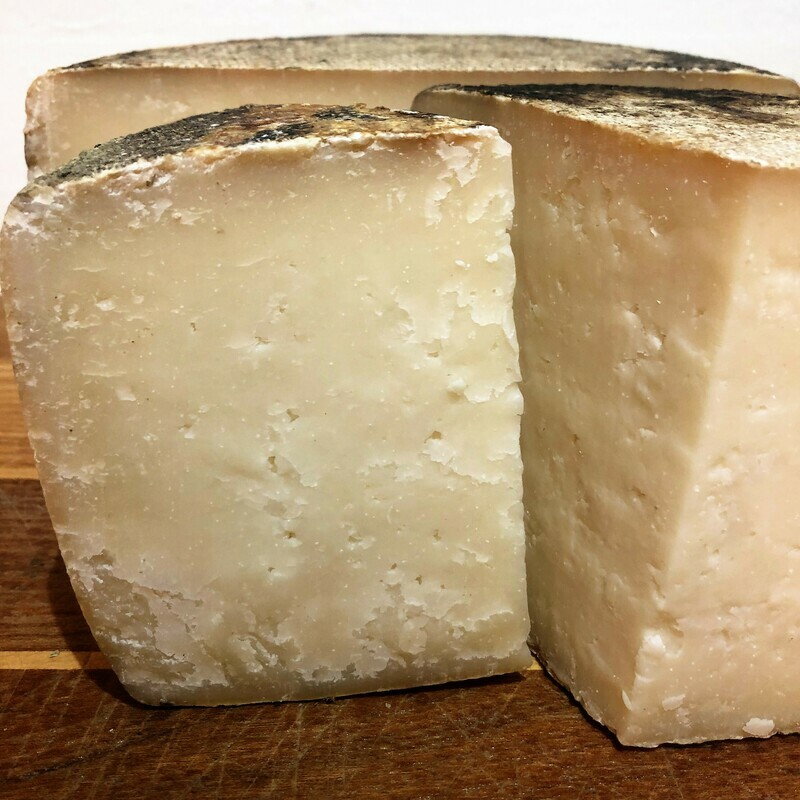 Capra Sarda