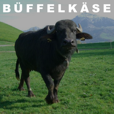Büffelmilchkäse