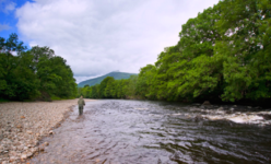River Orchy Salmon Fishing Per Day Gift Voucher. (Dates to be arranged)