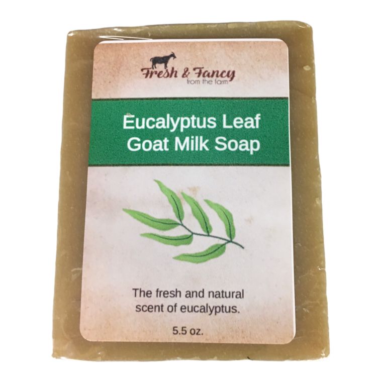 Eucalyptus Leaf / Goat Milk Bar Soap