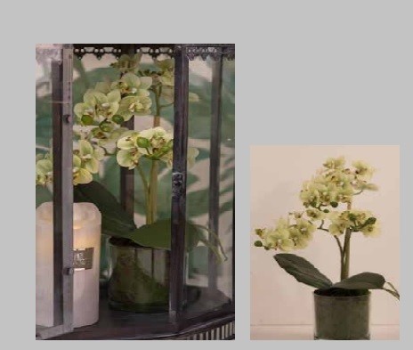 Dekorationsblomster - Orkide 3-grenet-sart gul i glas potte. H37 cm