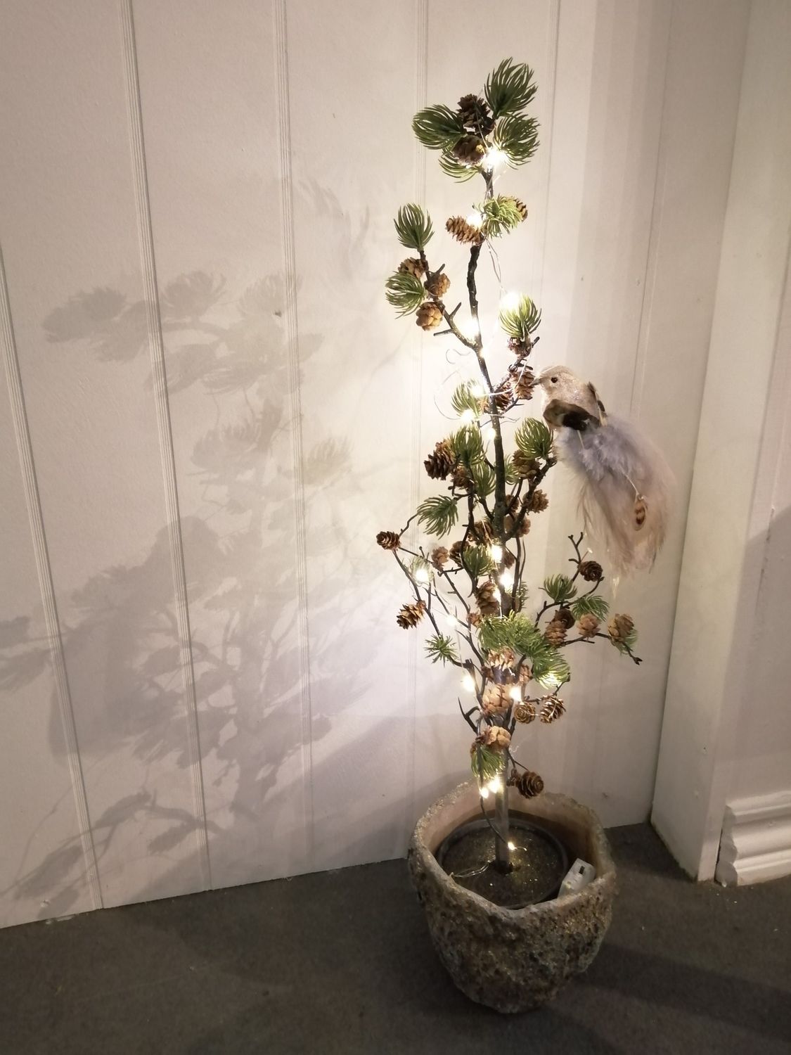 Cedretræ med kogler