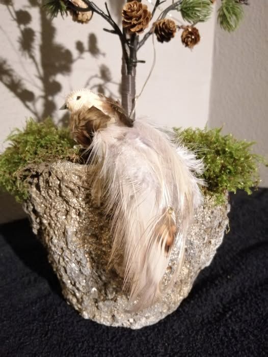 Potte moss Antikbrun.