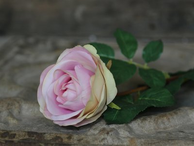 Dekorationsblomster - Rose, rosa. H71Ø10 cm