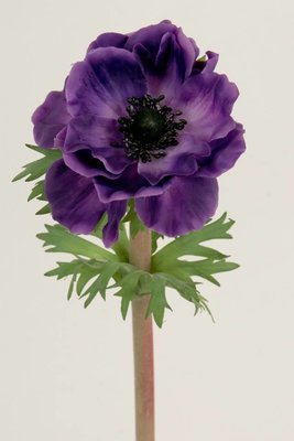 Dekorationsblomster - Anemone. H45 cm