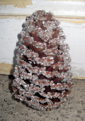 Kogle m. is H13 til 14 cm