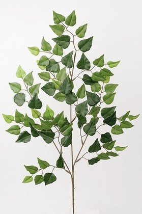 Dekorationsgrene - Birk. H70 cm