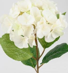 Dekorationsblomster - Hvid hotensia. H45 cm