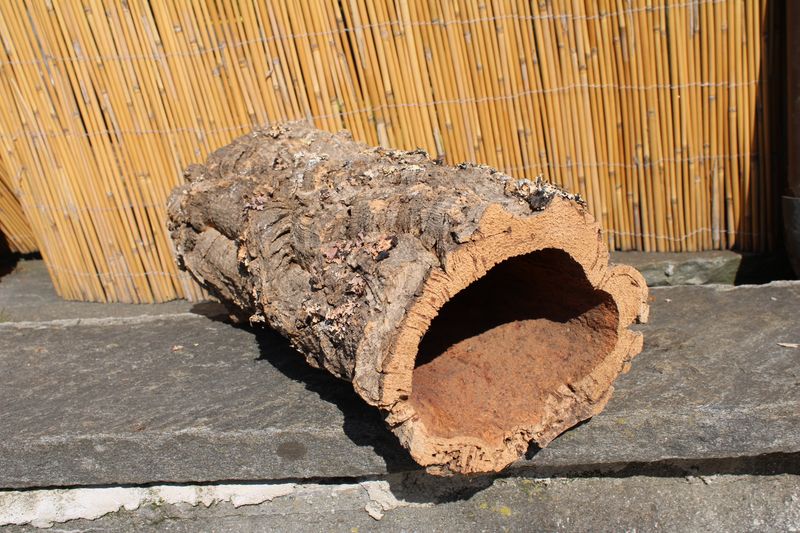 Korkröhre