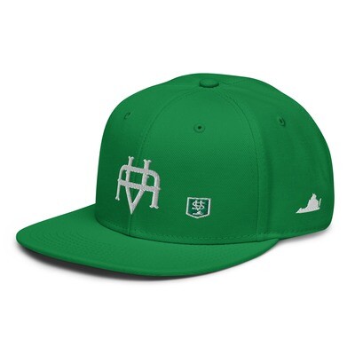 Snapbacks