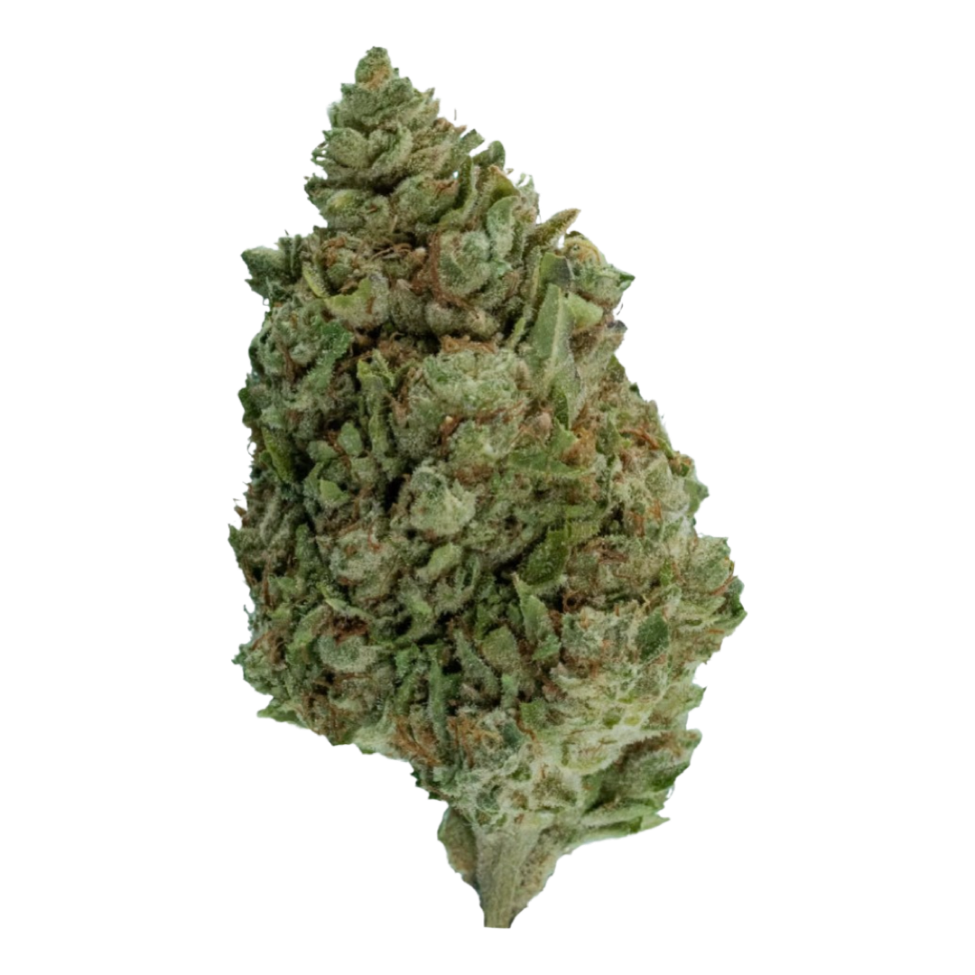 [Premium] Cheetah Piss - Sativa