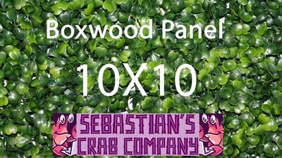 Boxwood Panel 10X10 for Hermit Crabs