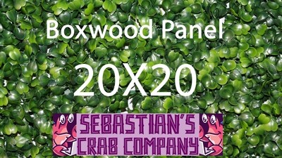 Boxwood Panel 20x20 for Hermit Crabs
