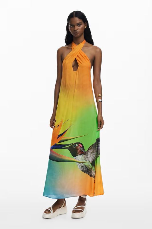DS25031493 COLIBRI DRESS