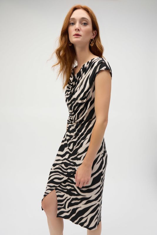 RJ25042143 SOULTRY ZEBRA DRESS