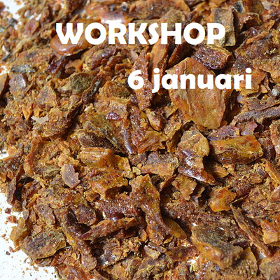 Workshop propolis verwerken in honing en zalf 1p