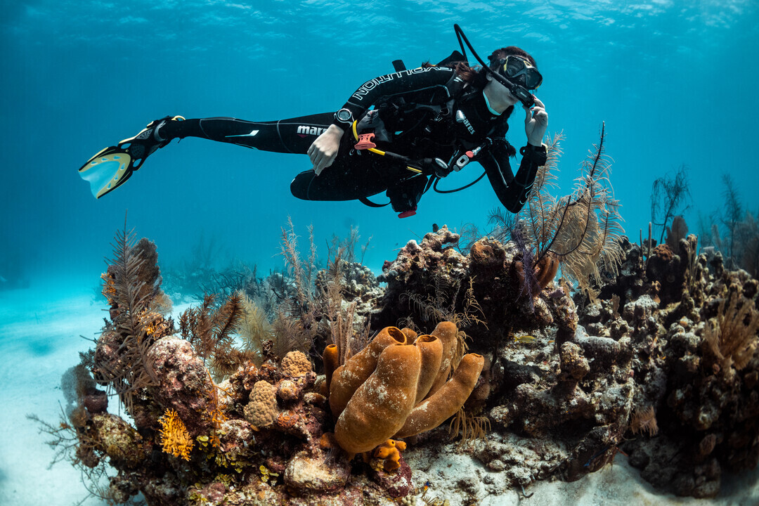 6 Dives Package