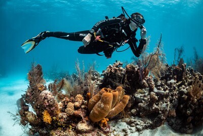 6 Dives Package