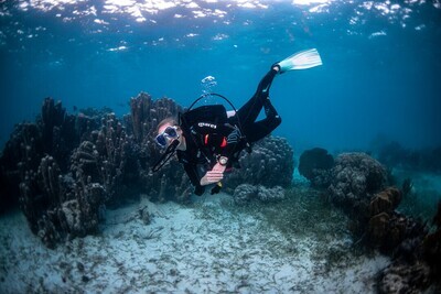 15 Dives Package