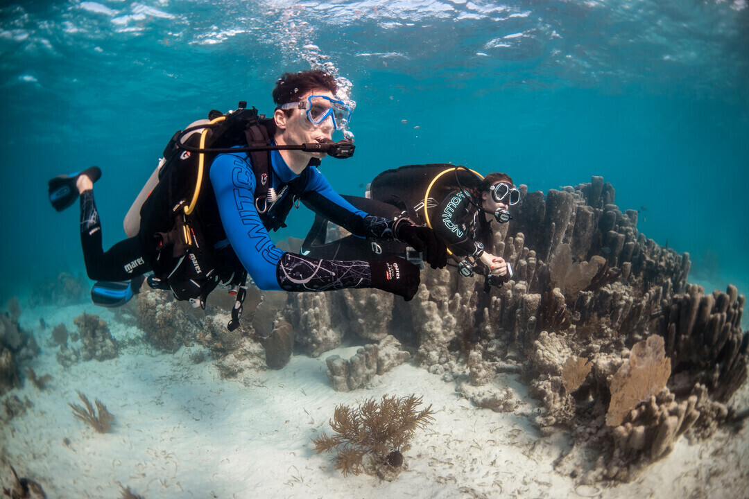 10 Dives Package