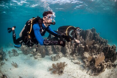 10 Dives Package