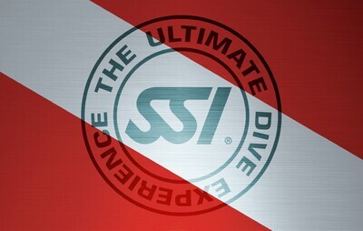 SSI Courses