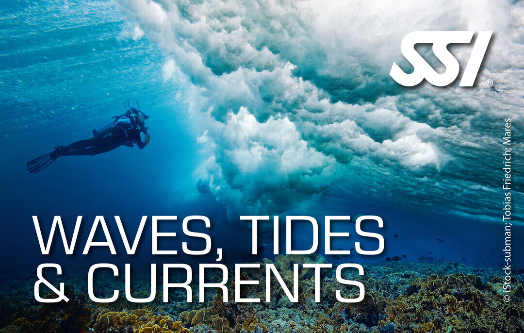 Waves, Tides and Currents Diver