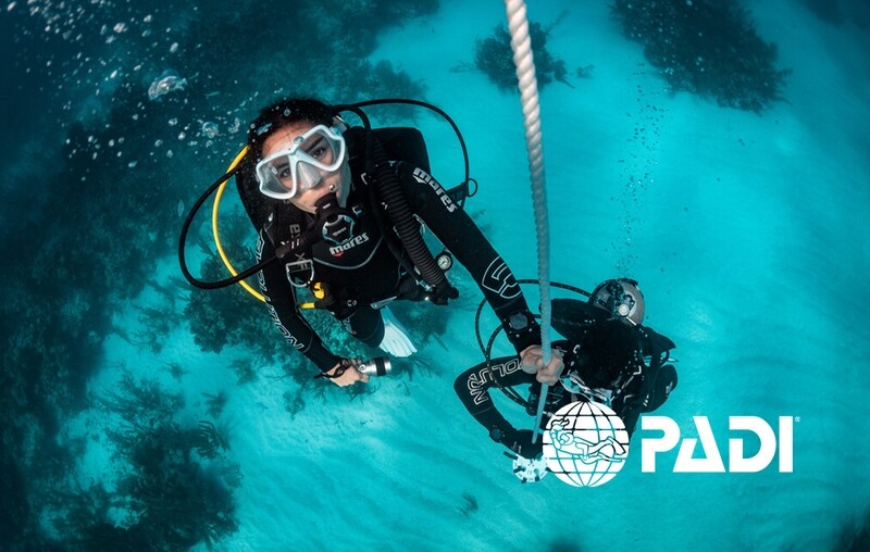 PADI OWD REFERRAL ( CHECK OUT DIVES)
