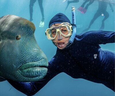 Diving Wear