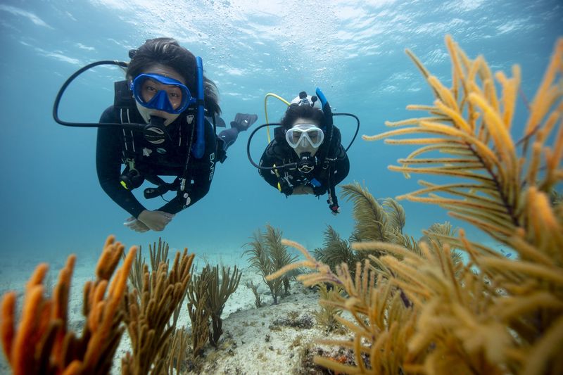 DISCOVER SCUBA DIVING