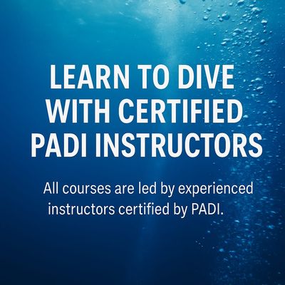 Courses with PADI-Certified Instructors