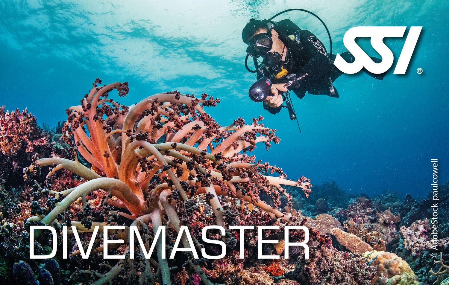 SSI DIVEMASTER COURSE